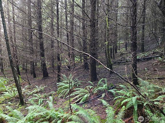 3rd image of 0 End of Workman Creek Road