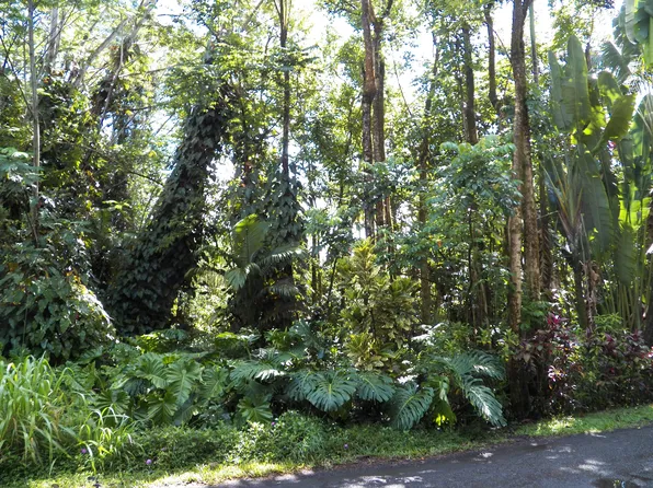 25th Ave Lot 19, Keaau, HI 96749