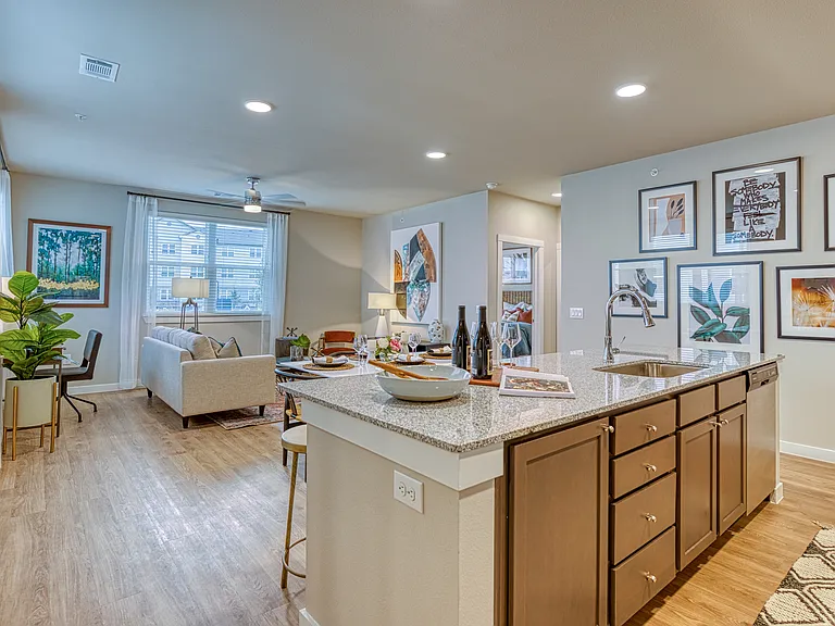 Stylish Living Room and Kitchen Design at The Hightone Apartments - Denton, TX