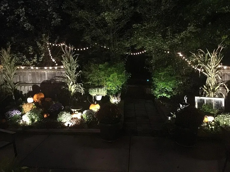 Enchanting Back Gardens Great for Halloween Parties!