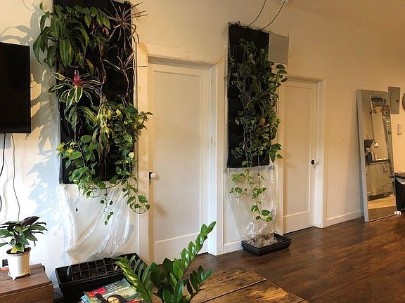 3rd image of 516 E 11th St APT 5A