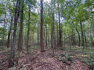 5th image of 18 County Road 48