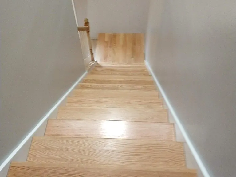 1493 Scott St — Photo 4