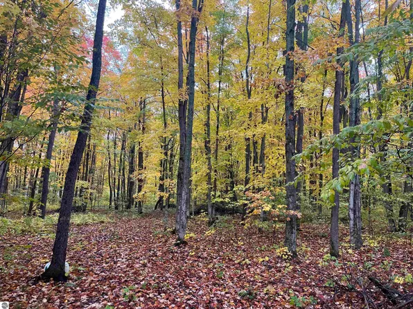 Greenleaf Ln, Grawn, MI 49637