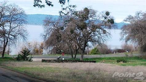 Alano 001