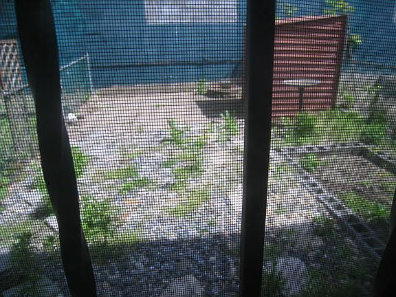 4th image of 2019 38th St #1