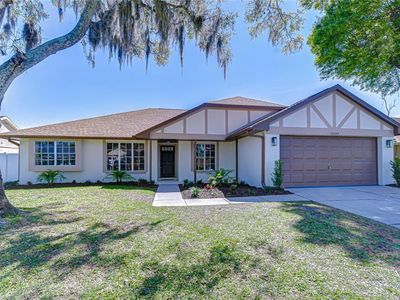 15143 Springview St, Tampa, FL, 33624