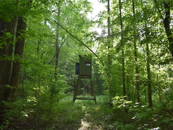 0 Jackson Rd, Camp Hill, AL 36850