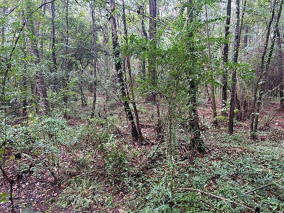 5th image of Tbd Battle Rd