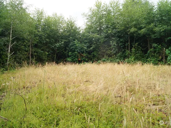 0 Off of Wynooche Wishkah Road, Montesano, WA 98563