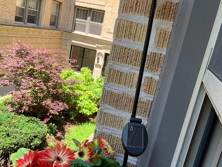 View from the window