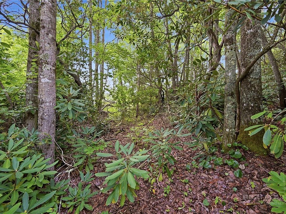 1st image of TBD (Lot 60) Raven Ridge Road