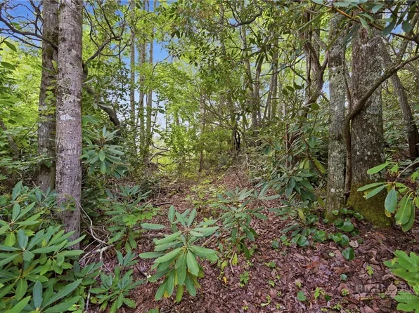 TBD (Lot 60) Raven Ridge Road, Banner Elk, NC 28604