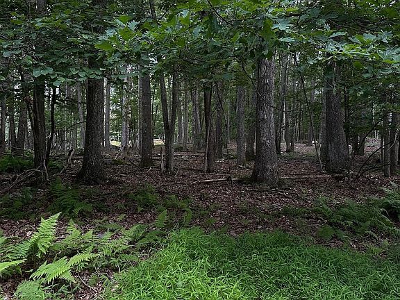 3rd image of 22 Cove Point Cir