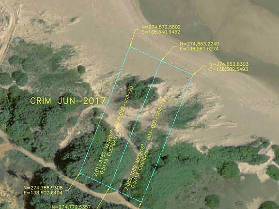 5th image of Guayabo #D