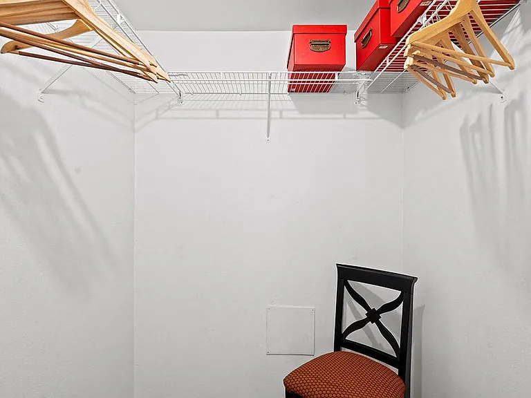 Walk-In Closet with Lots of Storage Space