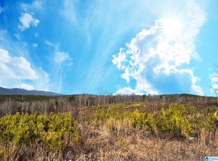 0 Us Highway 278 Byp W #X, Piedmont, AL 36272