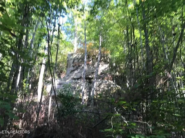 Rob Watson Rd, Oneida, TN 37841