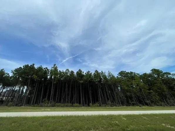 15963 Forest Grove Dr, Willis, TX 77378
