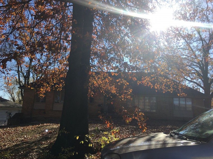 1st image of 909 E 83rd St