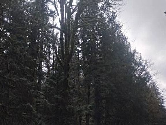 4th image of 49101 Sauk Prairie Rd