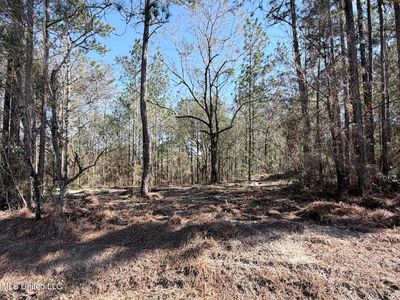 Red Bluff Rd, Moss Point, MS, 39562