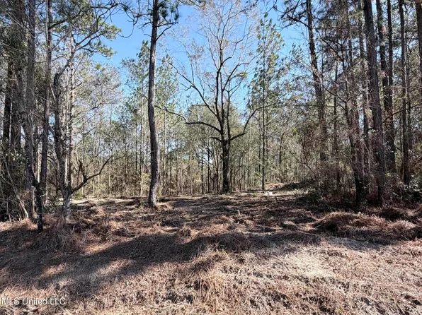 Red Bluff Rd, Moss Point, MS 39562