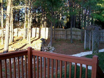 Love ice-tea?- enjoy your deck!