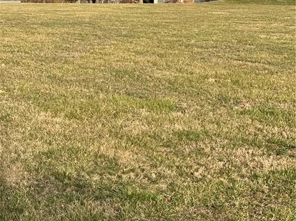 LOT 24 Lakeview Dr, Plattsburg, MO 64477