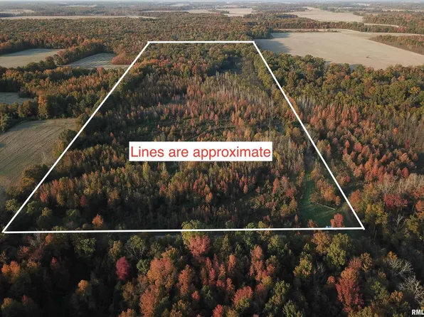 0 County Road 2200 E, Fairfield, IL 62837