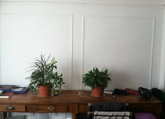 Rented by Rapid Realty Cobble Hill | media 53