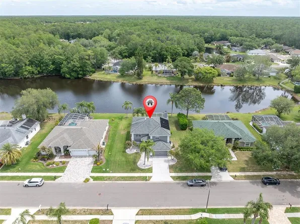 2487 Saddlewood Ln, Palm Harbor, FL 34685