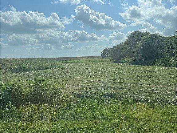 3rd image of County Road 451 Bruceville