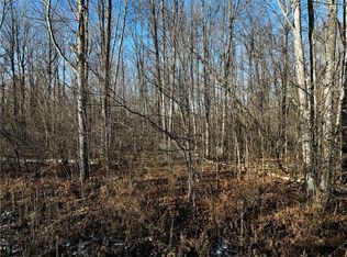 9094 Scout Trl, Ojibwa, WI 54862