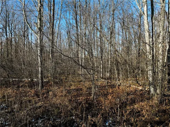 9094 West Scout Trail, Ojibwa, WI 54862