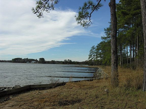 4th image of 305 Loblolly Ln