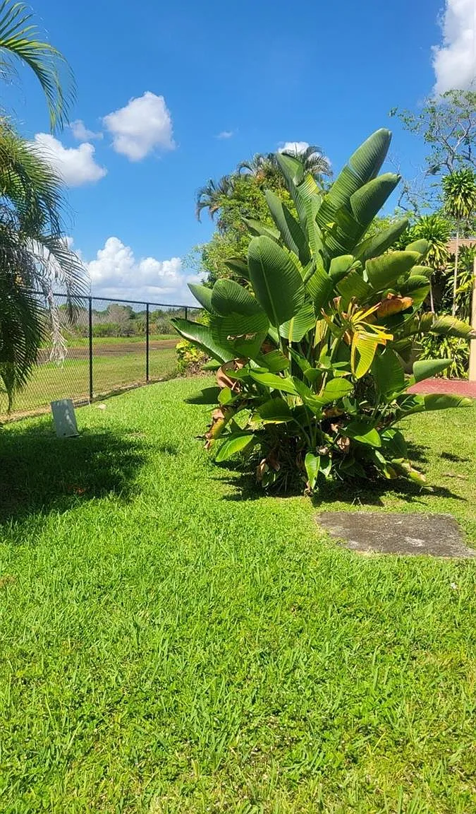 2 bed, 2.0 bath, 912 sqft, $2,600 — Photo 2
