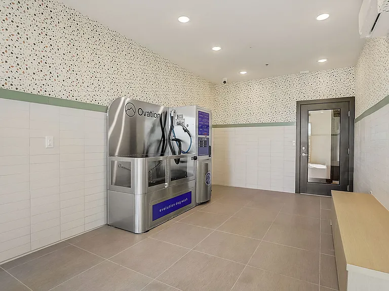 Pet Washing Station