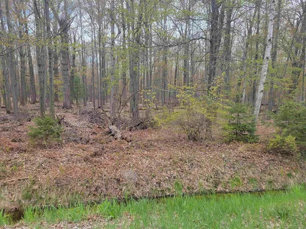 V/l S Fordney, Hemlock, MI 48626
