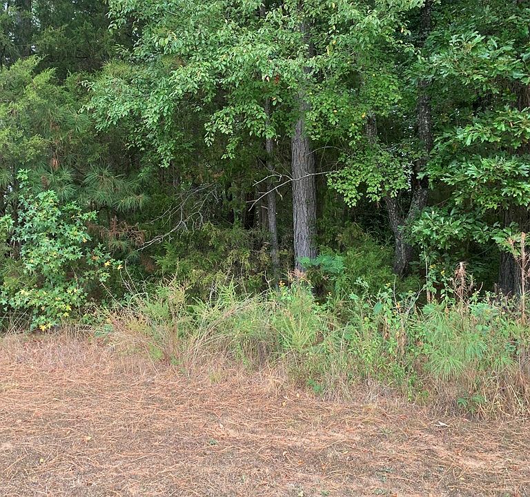 2nd image of G Blackridge Rd Lot 6