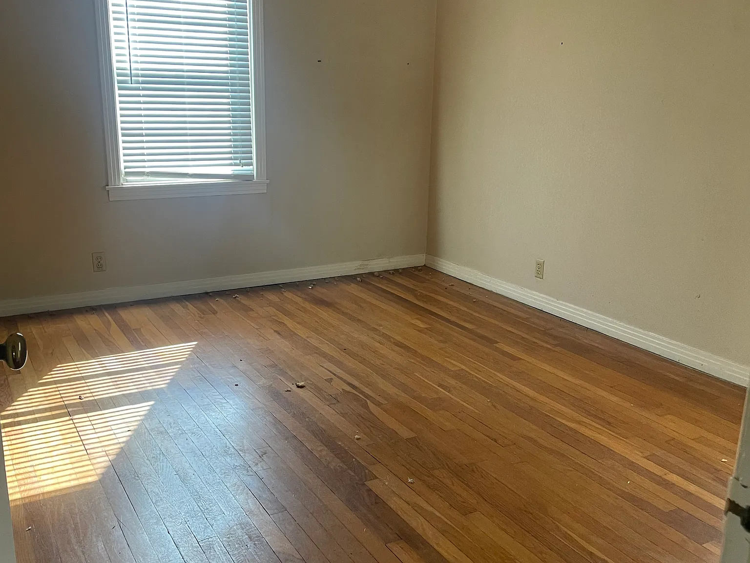 117 Bowie St — Photo 4