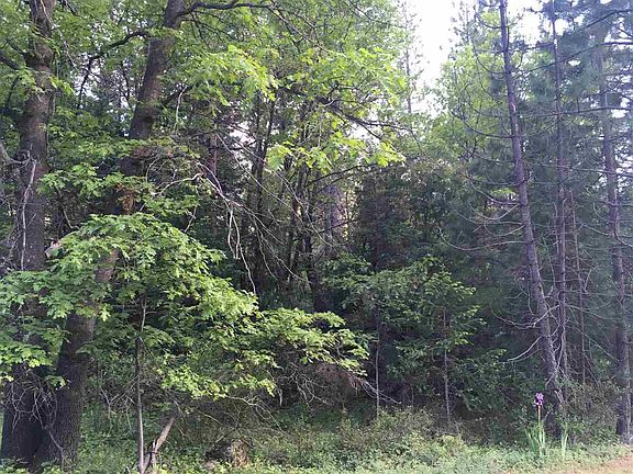 4th image of 412 Tamarack Bnd