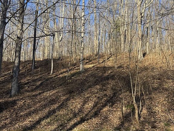 4th image of 4624 Rhoric Rd