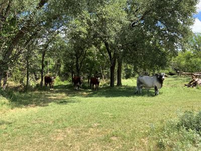 10051 County Road 321, Blanket, TX, 76432