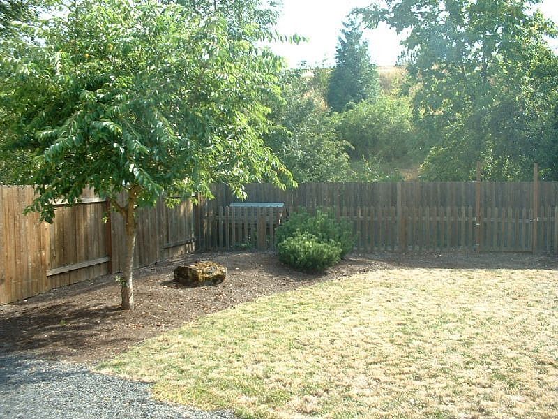 Backyard V1