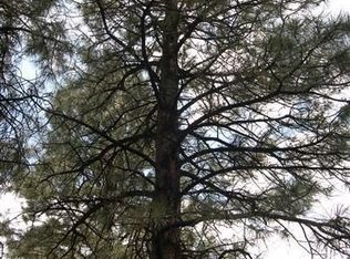 4415 W Braided Rein, Flagstaff, AZ 86001