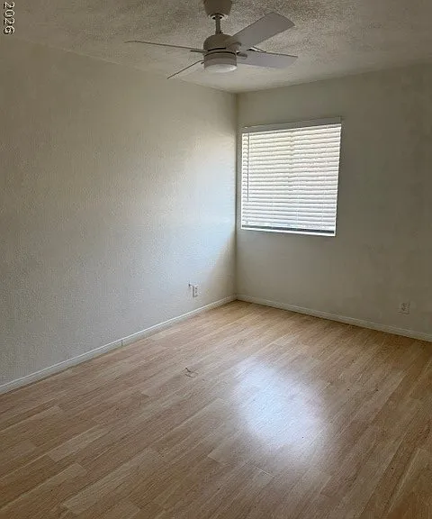 4264 White Sands Ave — Photo 10