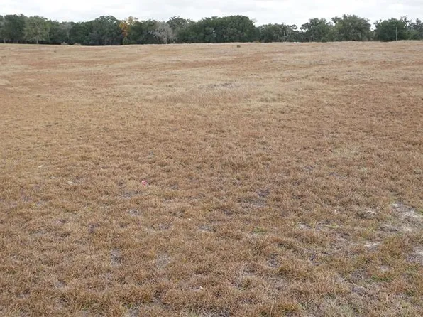 0 NE 141st St Lot 5, Citra, FL 32113