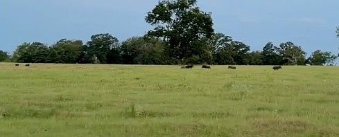 4th image of 0 N 3910th Rd