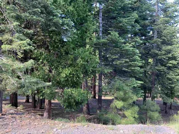203 Top Of The West Dr, Chester, CA 96020